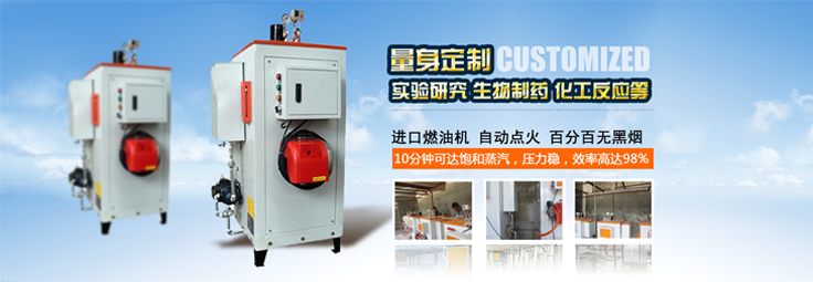 全自动燃油蒸汽发生器(锅炉) 全自动燃油蒸汽发生器(锅炉)