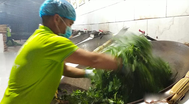 电气化制茶成主流，蒸汽发生器让制茶无烟化，实现零排放的环保目标